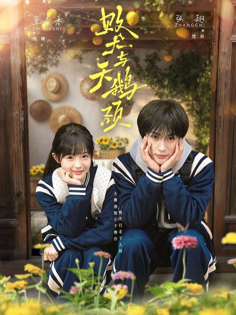 苍鹭与少年